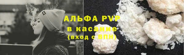 индика Куйбышев