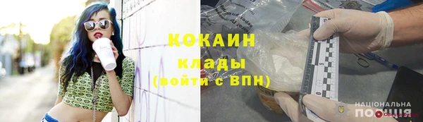 индика Куйбышев