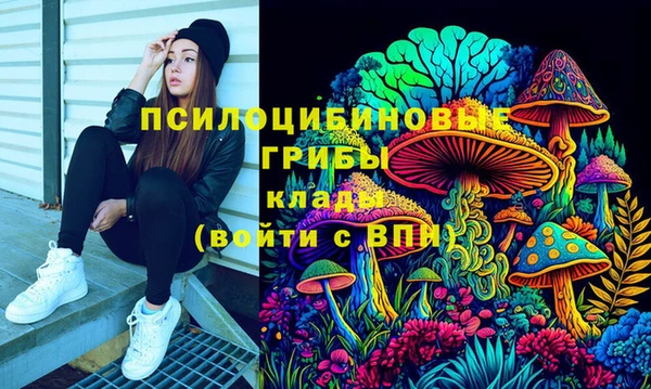 индика Куйбышев