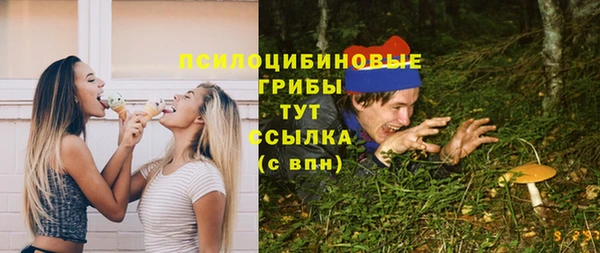 индика Куйбышев