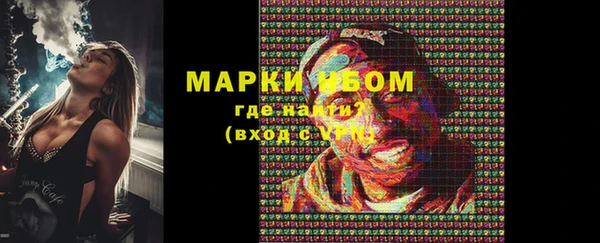 индика Куйбышев