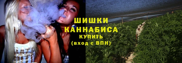 индика Куйбышев