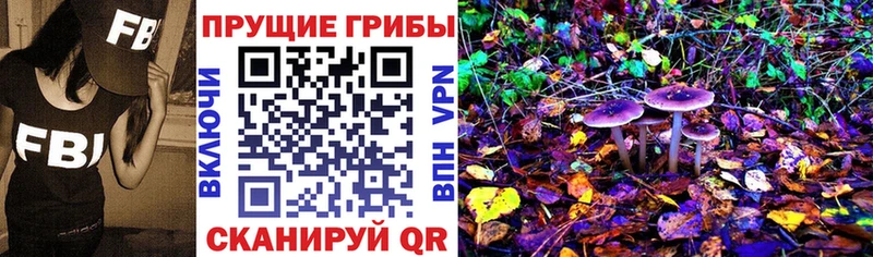 ОМГ ОМГ ONION  Ростов-на-Дону  Псилоцибиновые грибы мицелий 